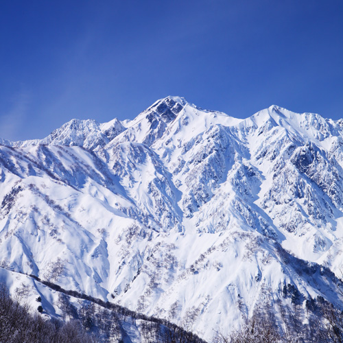 「白馬村」について